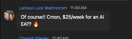 Larissa Luck Malmstrom: Of course! Cmon, $25/week for an AI EA??
